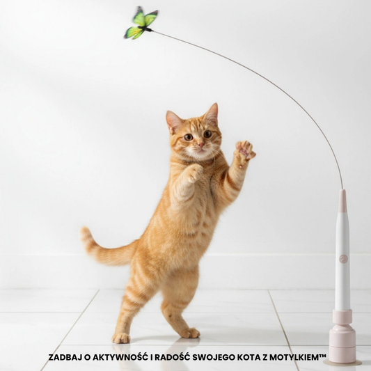 Motylek™ - Zabawka, która naprawdę działa